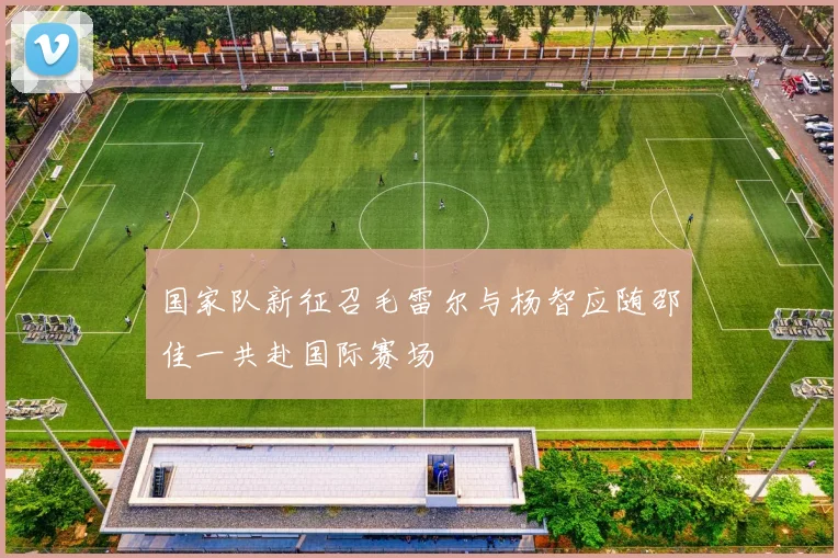 国家队新征召毛雷尔与杨智应随邵佳一共赴国际赛场